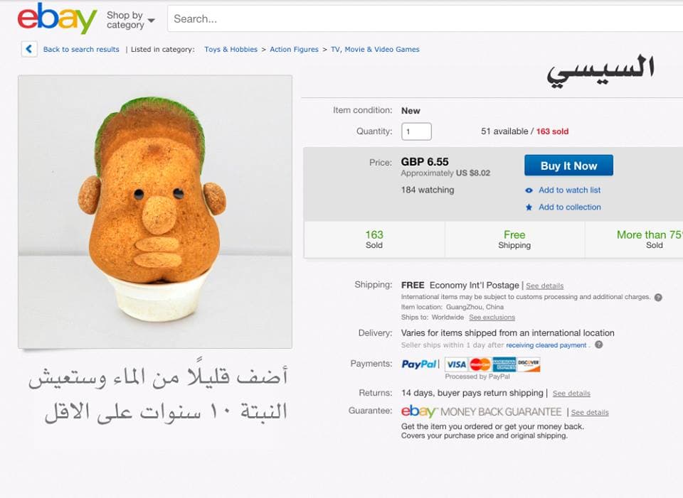 صورة نبتة السيسي