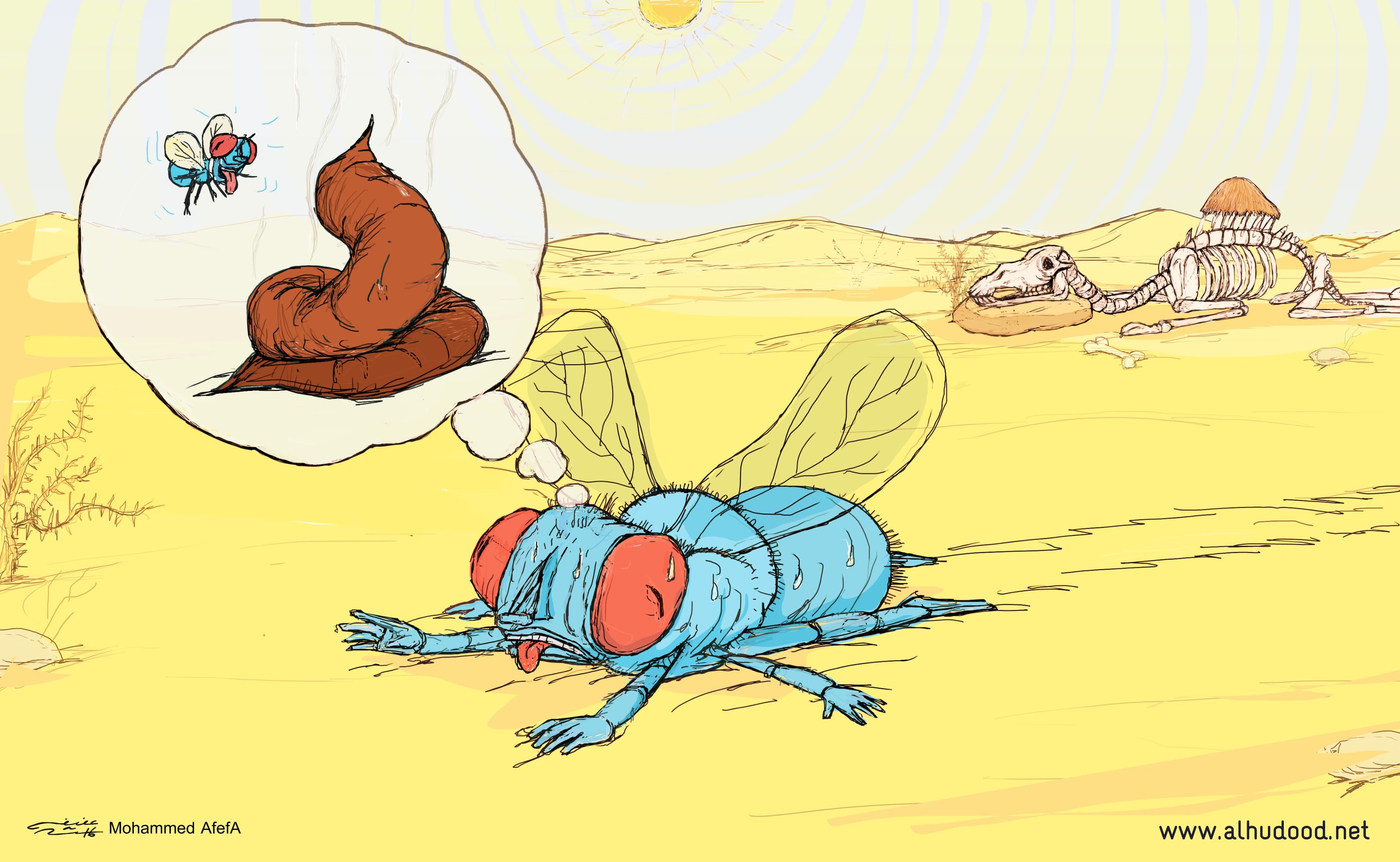 صورة الذبابة الزرقاء: أحلام