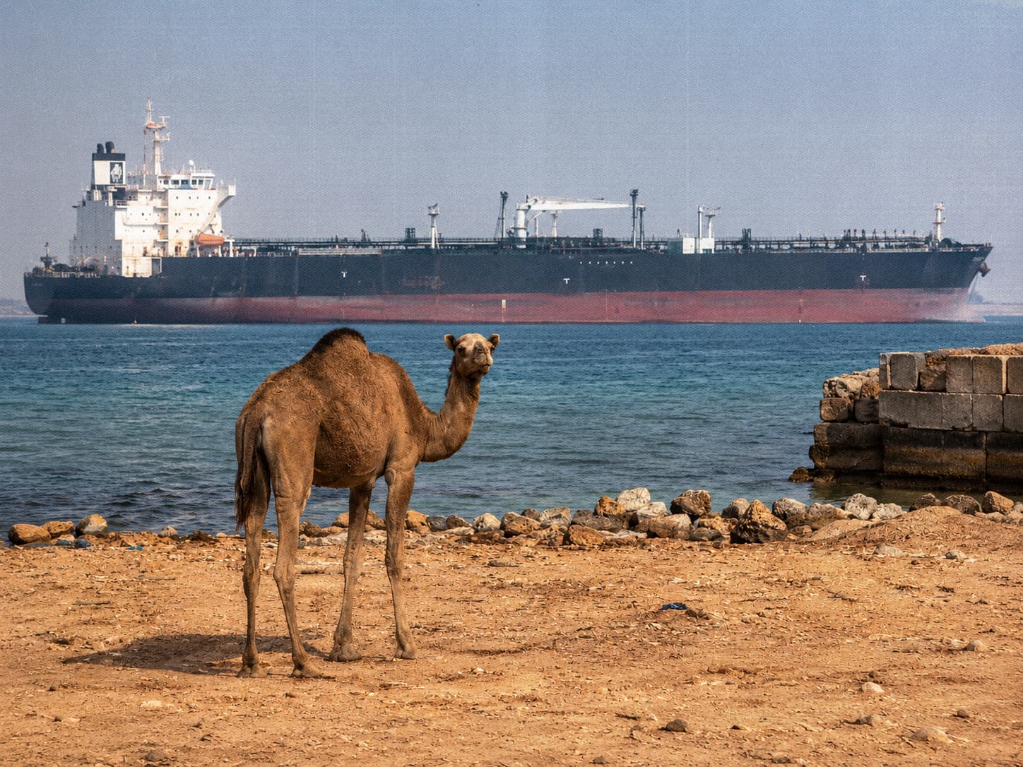 صورة دليل الحدود للشعور بالوحدة مجدداً بعدما تشاطرت وتزوجت وأنجبت ومثّلت أنك مخلوق اجتماعي